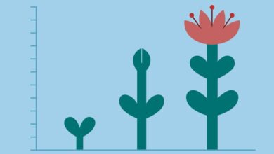 Advice on how to live a more balanced life in 2025