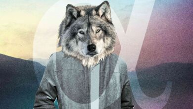 What to Know About Being in a Relationship With an Alpha Male