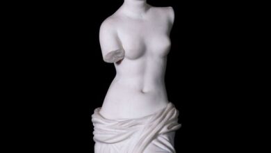 The case for renaming women’s body parts