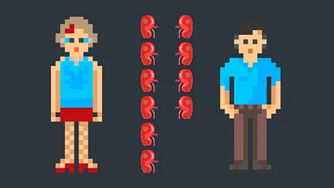 BBC/Getty In the US, six out of 10 kidney donors are women (Credit: BBC/Getty)