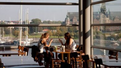 The ‘paradox’ of working in the world’s most equal countries