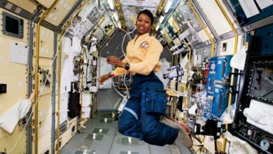 The effects of good looks on professional success: It’s complicated