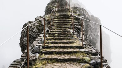 How to unleash the power of purpose at work and in life