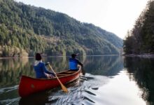 45 Inspiring Quotes About Freedom| SUCCESS