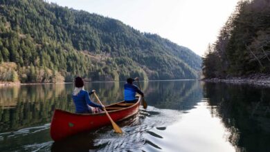 45 Inspiring Quotes About Freedom| SUCCESS